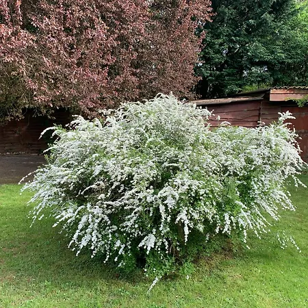 Au Jet De Pierre Villa *